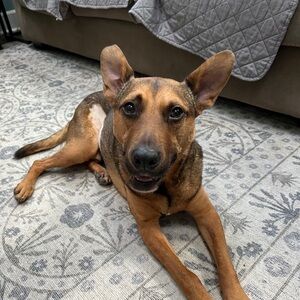 Meet your Posher, Becca